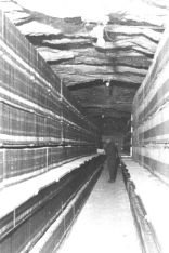 Historic picture of storage of the patent office library in Heringen
