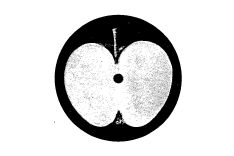 Apfel-Logo, angemeldet von Apple Corps 1968, heute im Besitz von Apple Inc (Nr. 352703)