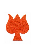 Farina´s red tulip sign (001551986)