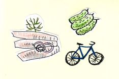 Matjes, Gurke und Fahrrad