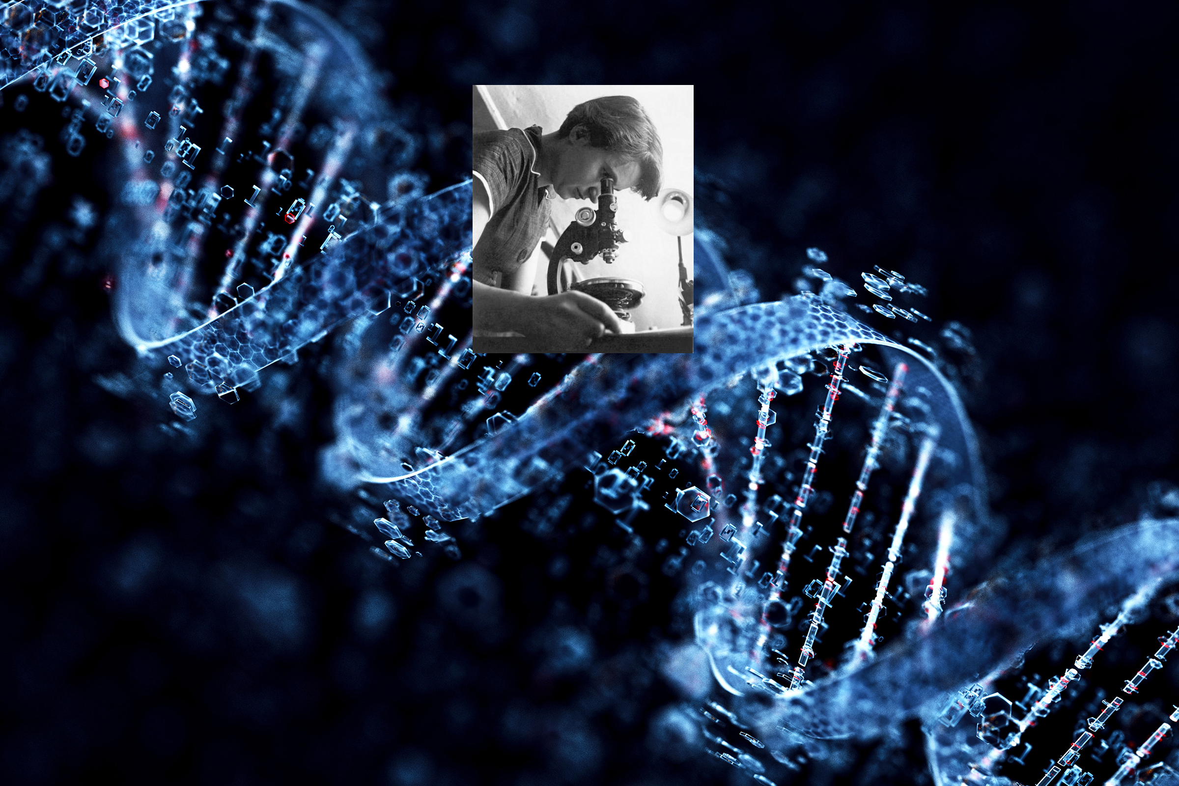 Bildcollage DNA-Doppelhelix mit Foto Franklin
