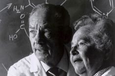 Dr. George H. Hitchings und Gertrude Elion, 1988