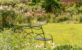 Garden bench in the countryside