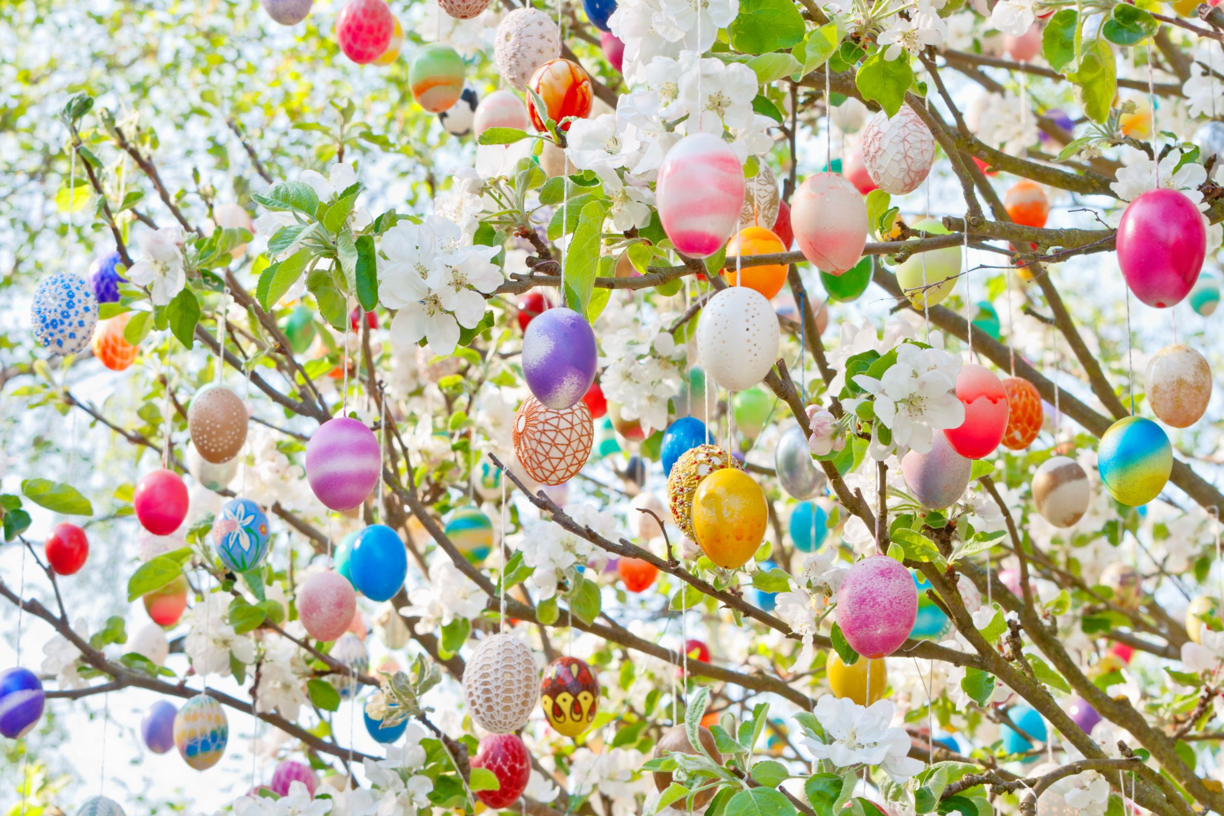 Lots of colourful eggs on the Easter bush